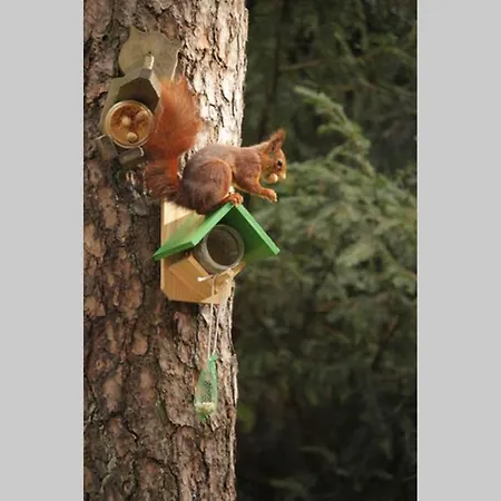 Boschalet Op De Veluwe Laag-Soeren